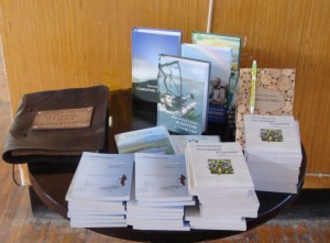 Новая книга Весенний кувшин